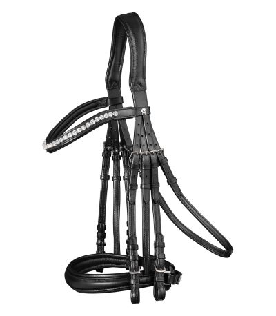 Briglia dressage 