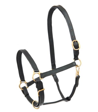 Capezza cuoio Star Robust