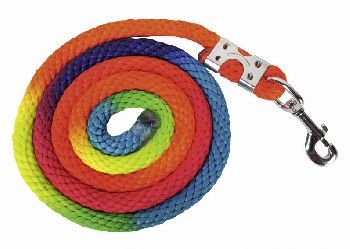 Lunghina multicolor