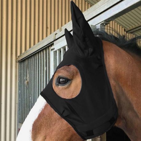 Maschera Fenwick