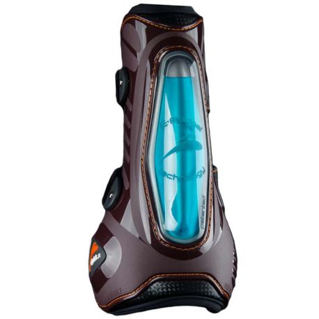 Paratendini Eshock
