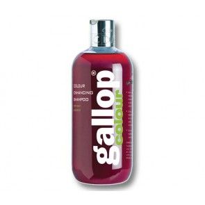 Gallop Shampo Bay da 500ml