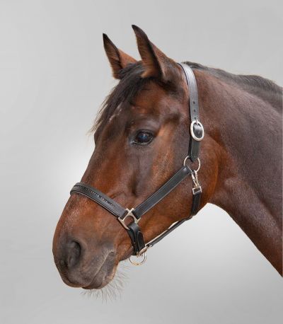Capezza cuoio Star Diamond