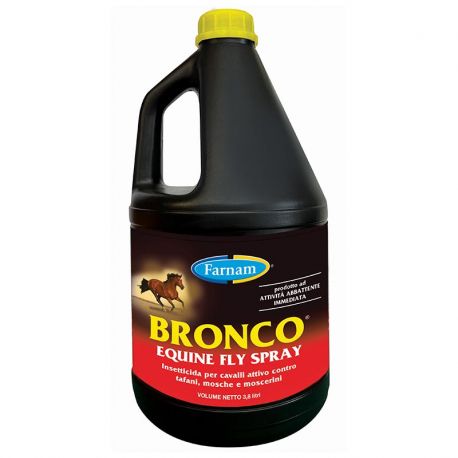 Bronco da 3.8lt